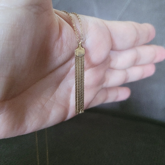 Silver🤍 Wren🪶 Dainty Gold💛 Tassel Necklace - Picture 4 of 12